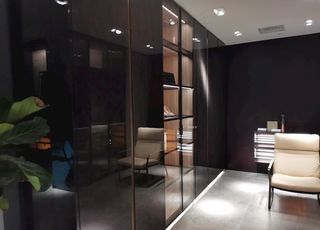 酒柜 书柜  鞋柜  展示柜图片