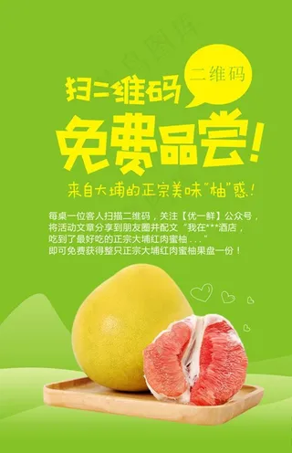 柚子免费品尝海报单张图片