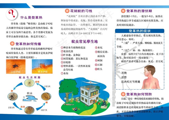 预防登革热折页A图片psd模版下载