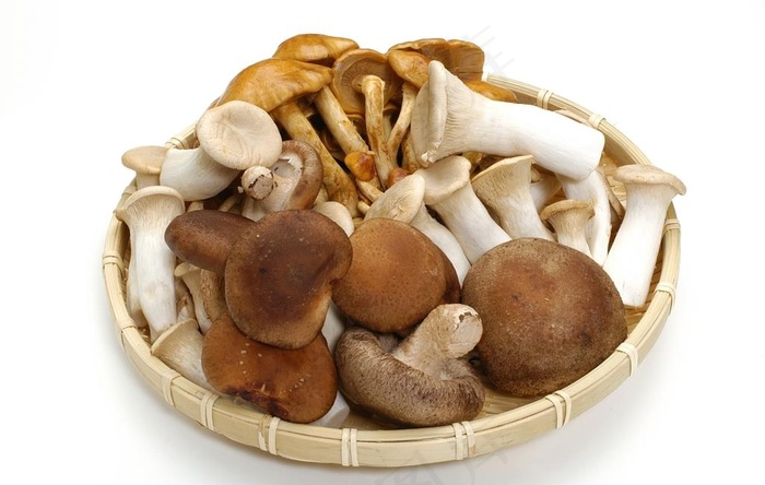 香菇图片
