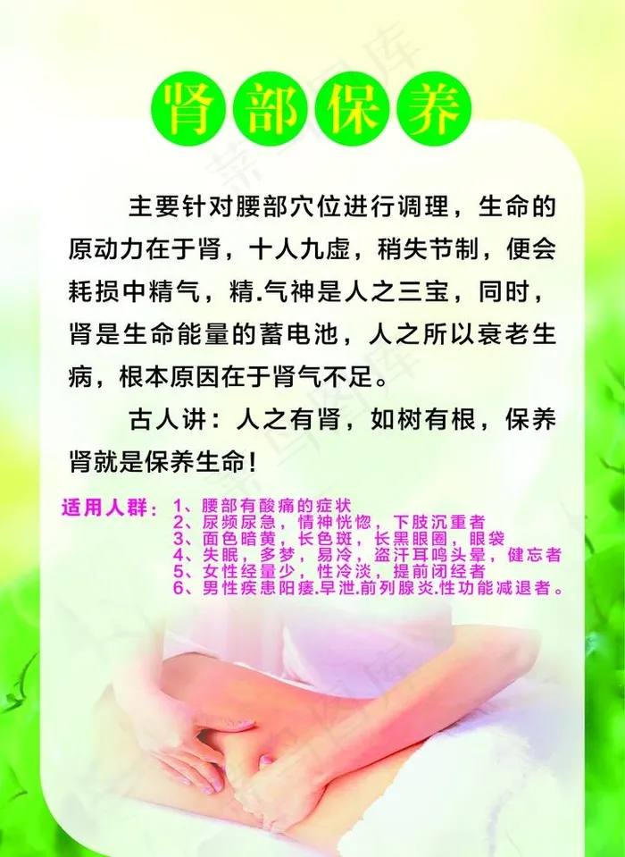 肾部保养护理海报图片psd模版下载