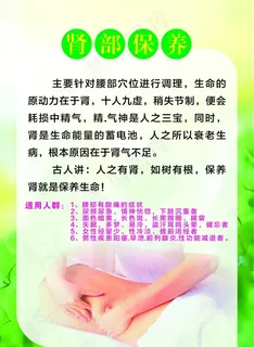 肾部保养护理海报图片