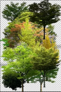 植物素材图片 植物素材图片