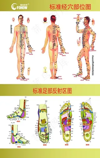 和治友德经部图图片