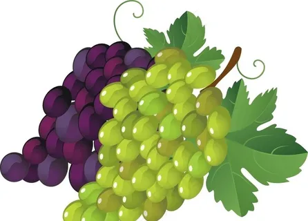 葡萄图片