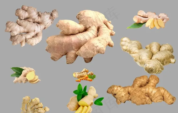 生姜图片psd模版下载