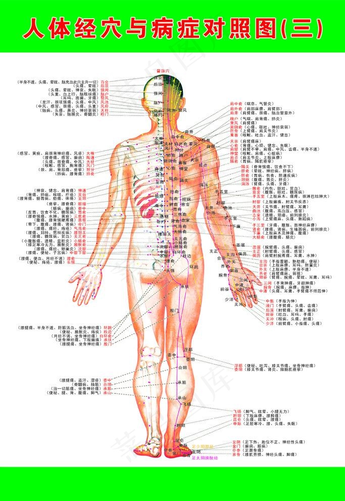 人体经穴与病症对照图图片(4724X7087(DPI:200))psd模版下载