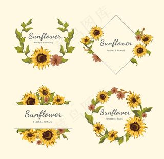 婚礼邀请函花卉设计向日葵花朵图片