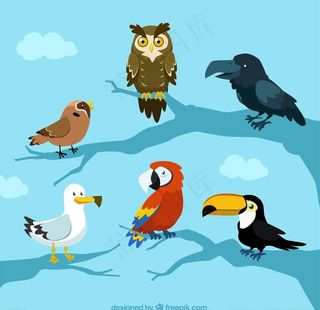 矢量猫头鹰图片