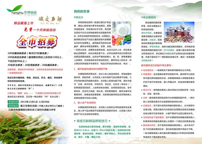 铁皮石斛折页图片(3437X2551(DPI:300))psd模版下载