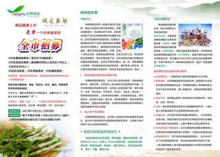 铁皮石斛折页图片