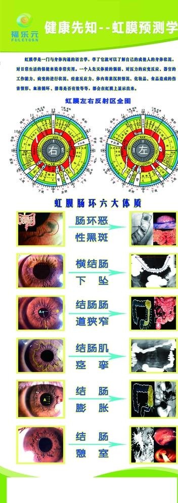 福乐元虹膜肠测学展架图片ai矢量模版下载