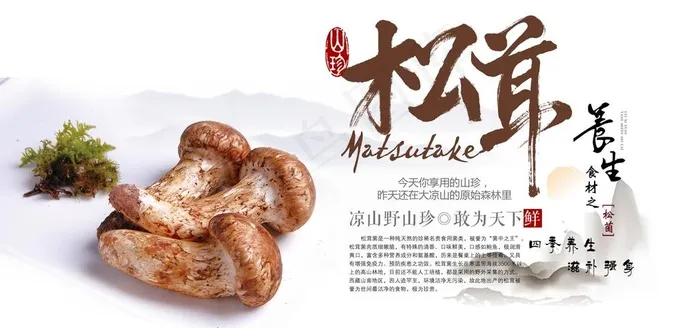 野菌山珍食材养生海报图片(7087X3543(DPI:150))psd模版下载