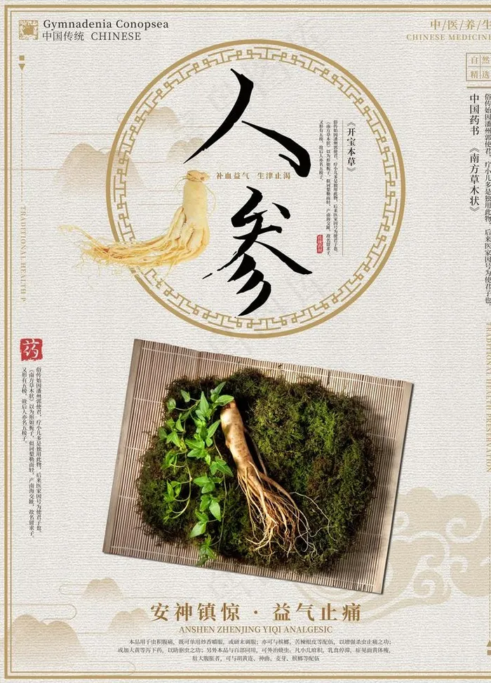 人参图片(3543X4724(DPI:150))psd模版下载