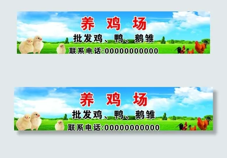 养鸡场图片