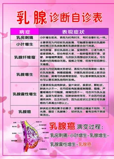 乳腺 诊断自诊表 乳腺癌 乳房图片