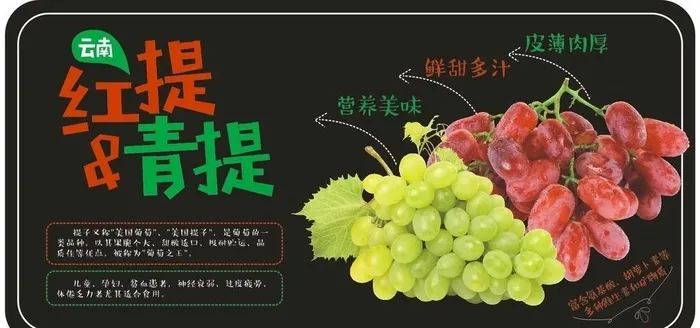 青提红提图片cdr矢量模版下载