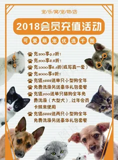 宠物店宣传活动图片