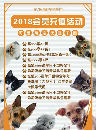 宠物店宣传活动图片