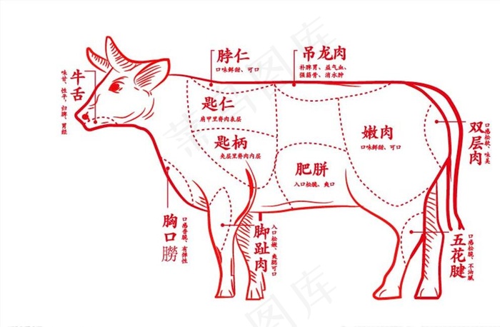 牛肉部位分解图片ai矢量模版下载