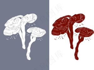 中药材灵芝图片