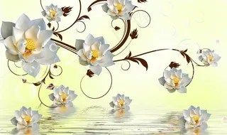 电视背景墙图片