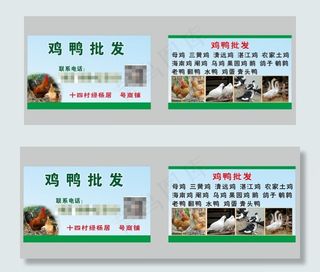 批发鸡鸭鹅名片图片