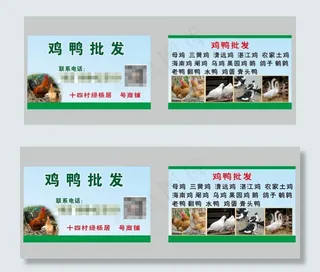 批发鸡鸭鹅名片图片