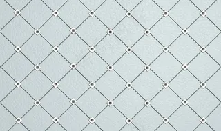 方格软菜鸟图库片