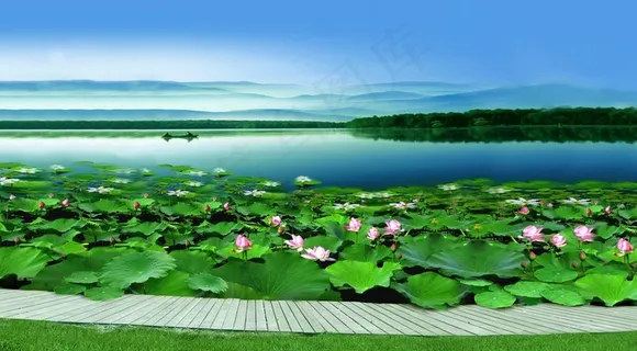 荷塘湖景图片