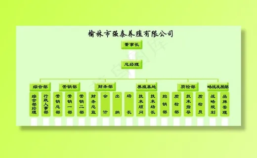 组织一栏表 公司组织架构图片