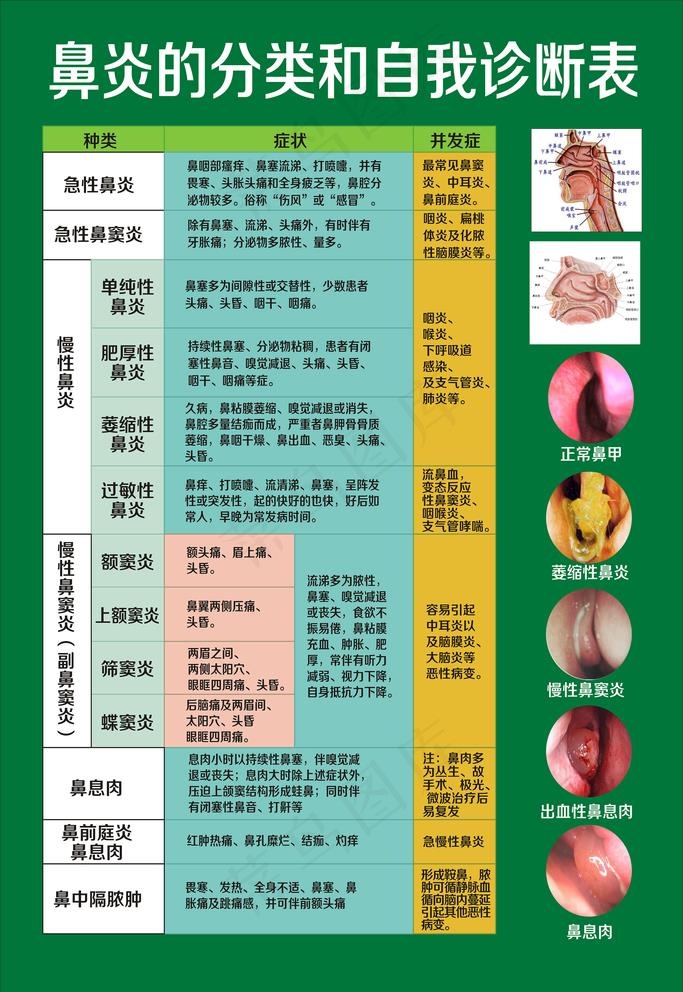 鼻炎图片