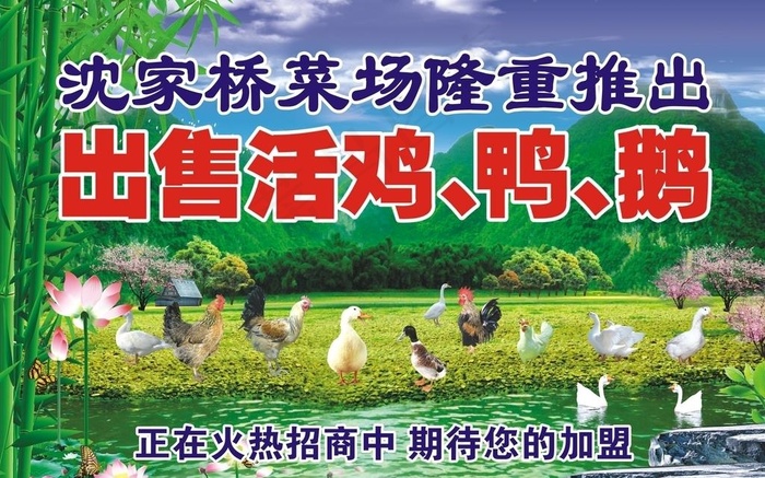 沈家桥菜场图片(210X297)cdr矢量模版下载