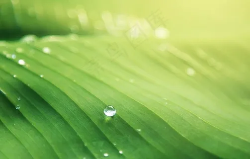 雨图片 雨图片