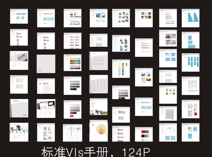标准VIS设计手册图片cdr矢量模版下载