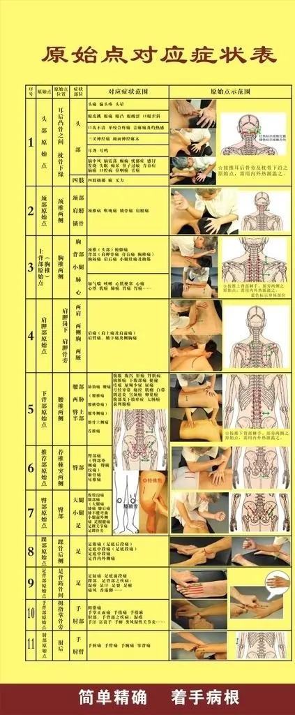 原始点对应病症表展架图片cdr矢量模版下载