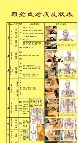 原始点对应病症表展架图片