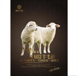 羊毛衫 海报图片
