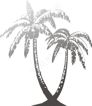 椰树图片