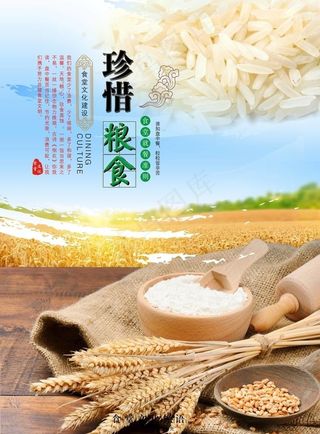 珍惜粮食图片