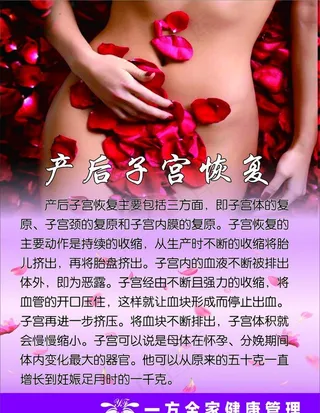 产后子宫恢复图片