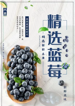 蓝莓图片