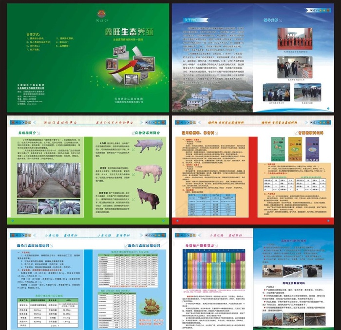 养猪手册图片