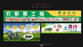 农家黑土猪图片