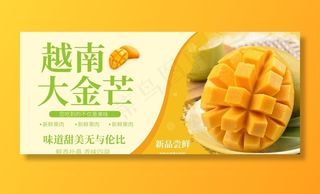 越南大金芒果图片