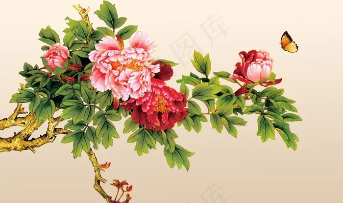 牡丹花图片(9071X5669(DPI:72))psd模版下载