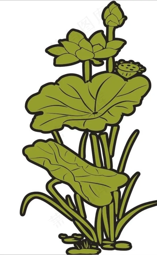 荷花图片cdr矢量模版下载