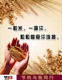 节约用餐图片