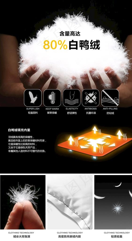羽绒图片psd模版下载