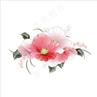 鲜花图片 鲜花图片